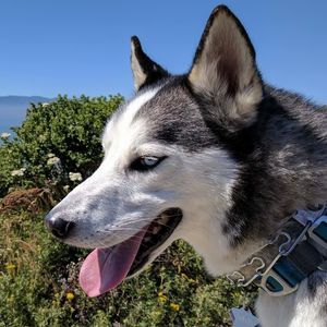 Meet your Posher, Margaret